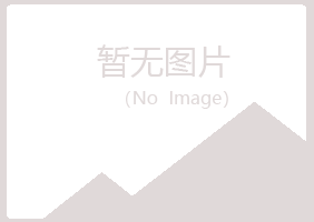 田东县如柏水泥有限公司